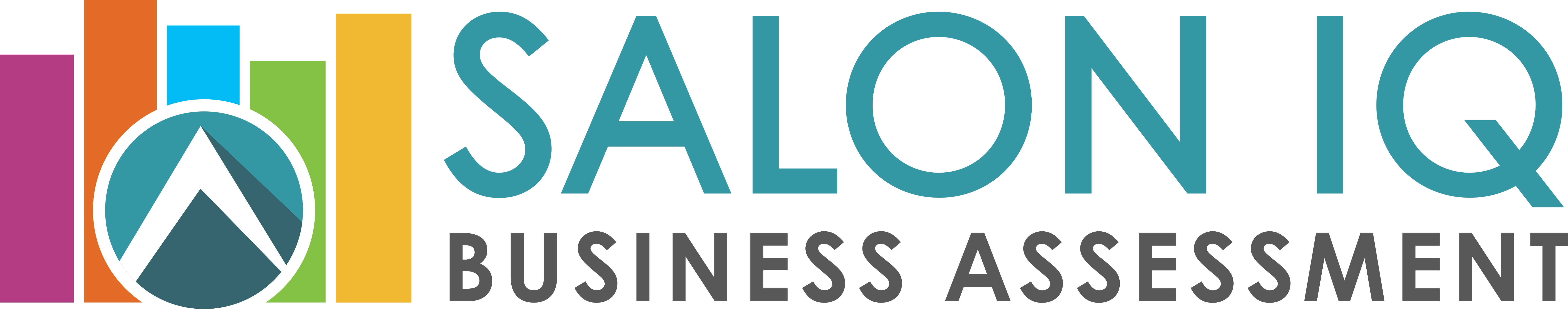 Salon IQ Logo